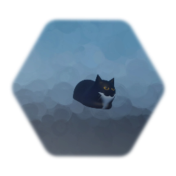Maxwell the careable cat Animation