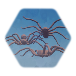 Spider Model V1
