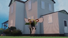 Backyard Shenanigans