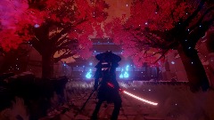 The Shadow Warrior- Samurai Training