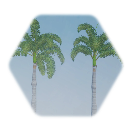 Foxtail Palm Tree realistic