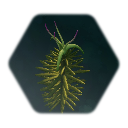 Paleoplant - Lionarith