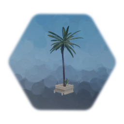 Mall Palm, Planter & Bench