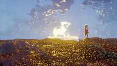 The QUEST of PIRATES