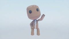 Sackboy test