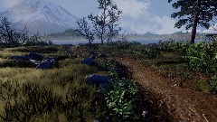 Puget Sound View Point