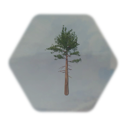 Detailed Tree Sculpt - Pine