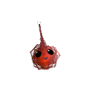 Doodey-1