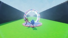 Sonic vs flash race
