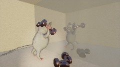 Dhm 30min creation challange possum lifting weight