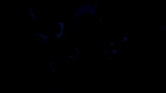 Scene 5