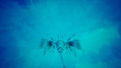 A screenshot taken in Dreams. 6 of 6.