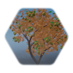 Lemon tree / Limonero