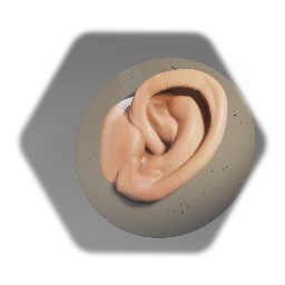 Ear