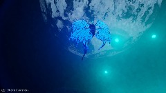 A screenshot taken in Dreams. 2 of 13.