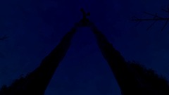 A screenshot taken in Dreams. 27 of 28.