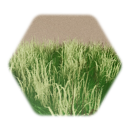 Grass patch