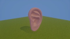 Play with squishy ear in grass Simulator