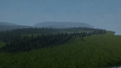 Forested Landscape