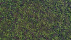 A screenshot taken in Dreams. 1 of 6.