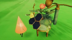 Coney watching tree litte