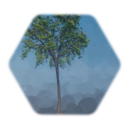 Realistic American Elm Tree