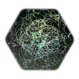 An Experiment in Fluffiness and Sassiness