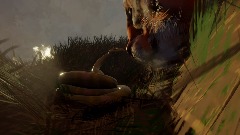 Coiled snake playful tiger