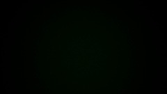 The Ridiculous Quiz 2