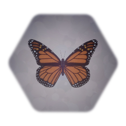 Monarch