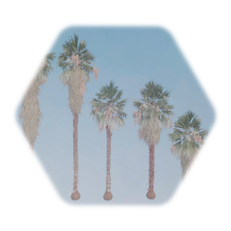 So Cal Asset Pack