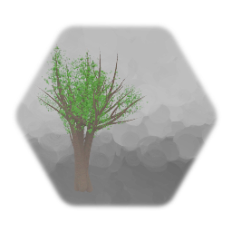 Tree # 2 - 9/11/2022