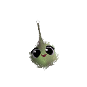 mloka_cute