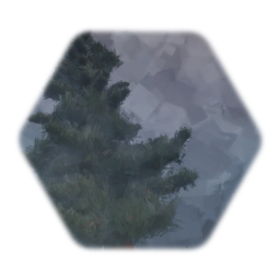 Pine
