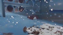 EDC Billy's Winter Forest