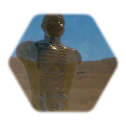 Ballistic Gel Dummy