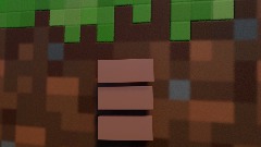 Mincraft