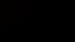 Sonic The Hedgehog (NO LONGER RECEIVING UPDATES)