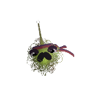 alvingoaudio