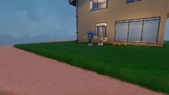 Sonics house