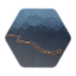 Snake