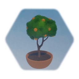 Potted Fruit Tree