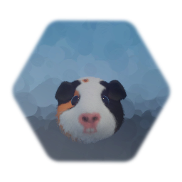 Guinea pig head