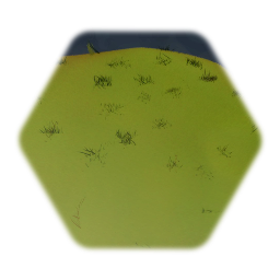 Unexciting Walked On Grass