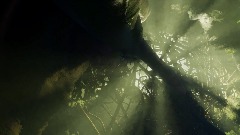 A screenshot taken in Dreams. 13 of 14.