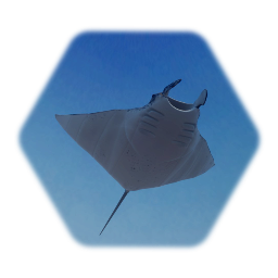 Manta Ray