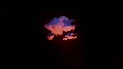 H A R U S P E X