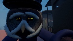 Sad owl Animation