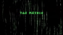 The Matrix -  Working bullet time demo