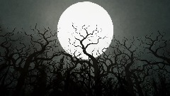 UNDER THE CYPRESS TREE - Teaser